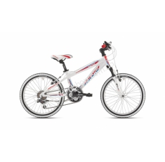 Велосипед Bottecchia 20 MTB Alu 18S Boy 35002051. Магазин Muskulshop
